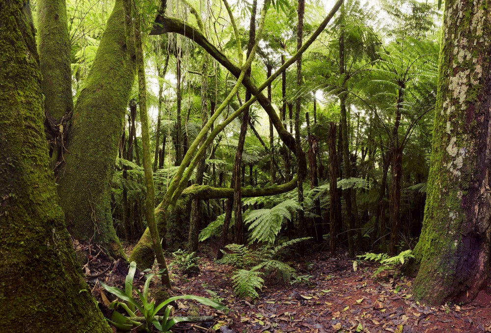 Personal Aldea Yeyi image